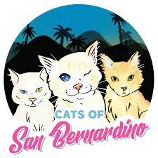 san-Bernardino-cats